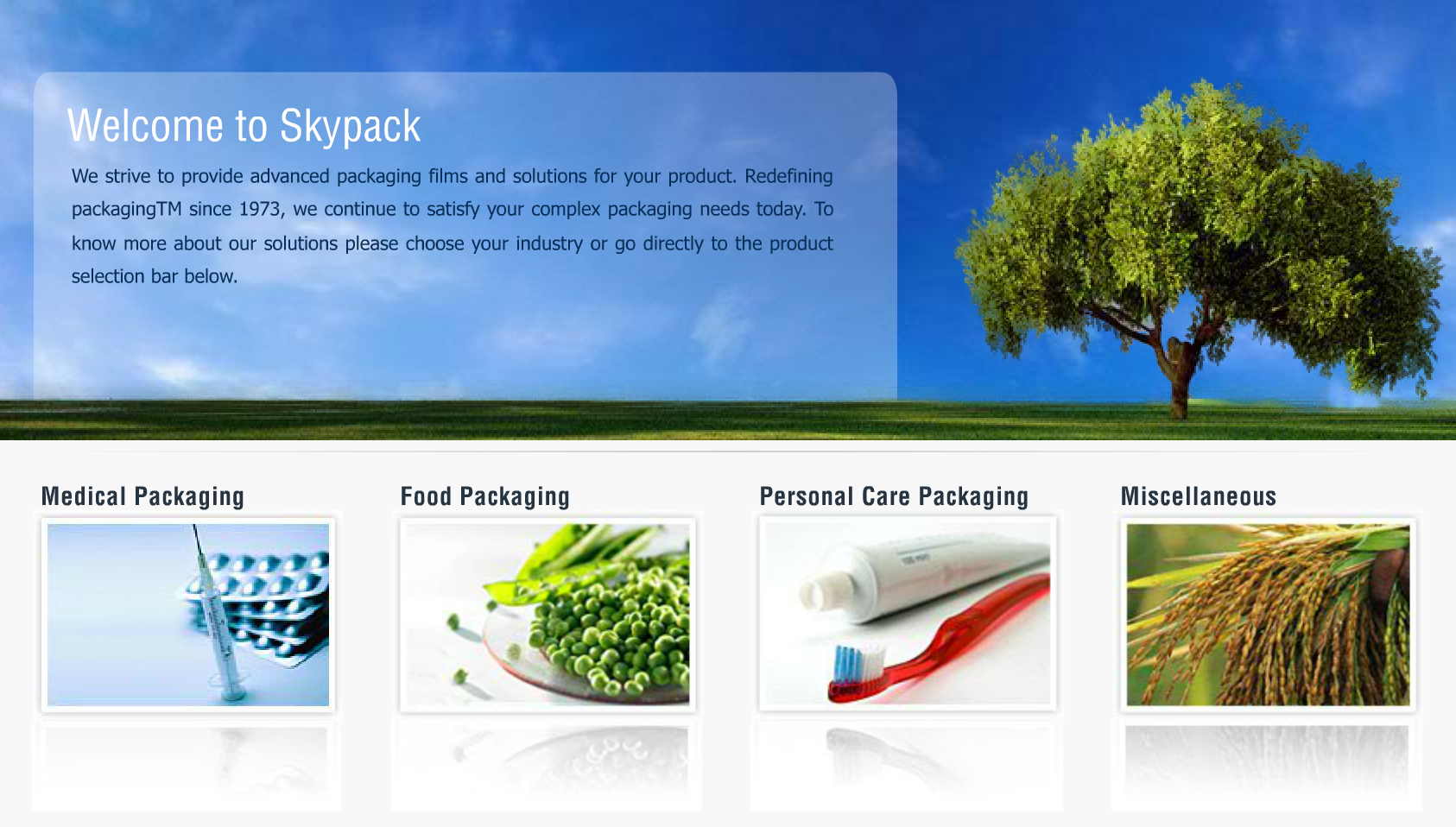 SkyPack – Redefining Packaging SkyPack – Redefining Packaging